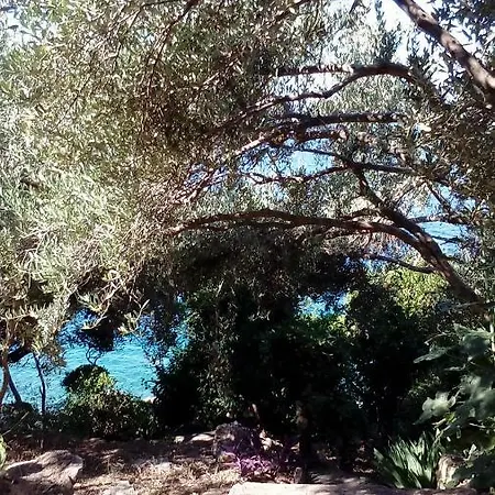 Holiday Prizba *