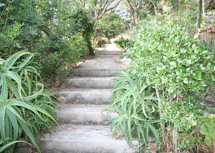 Holiday Prizba Prizba