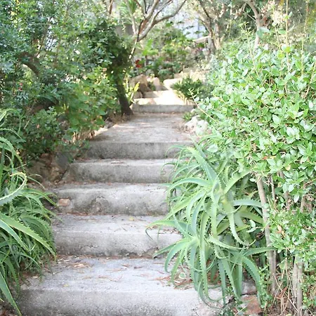 Holiday Prizba Prizba