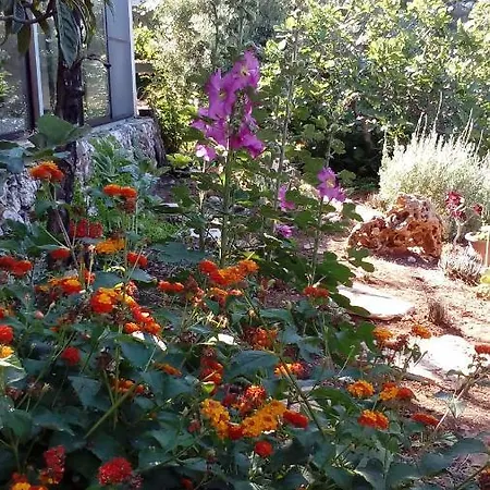 Holiday Prizba Vikendica Prizba