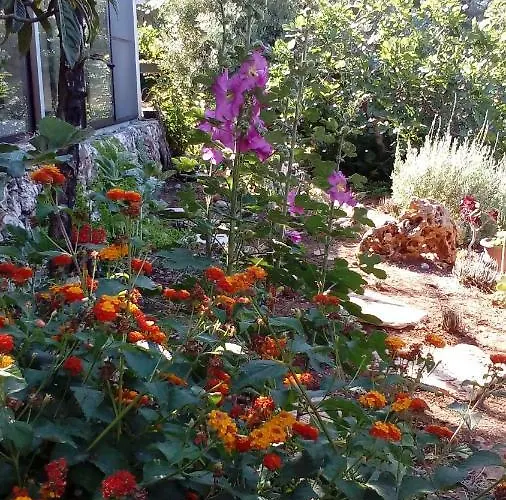 Holiday Prizba Casa vacanze Prižba