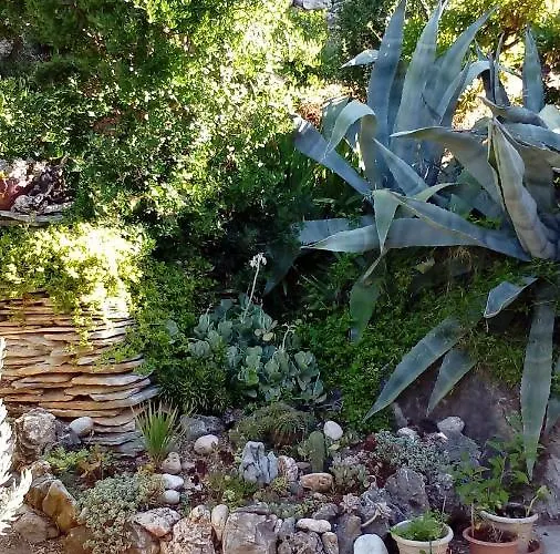 Holiday Prizba * Prižba